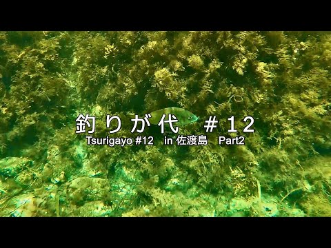 釣りが代＃１２　in 佐渡島　Part２（シュノーケリング編）