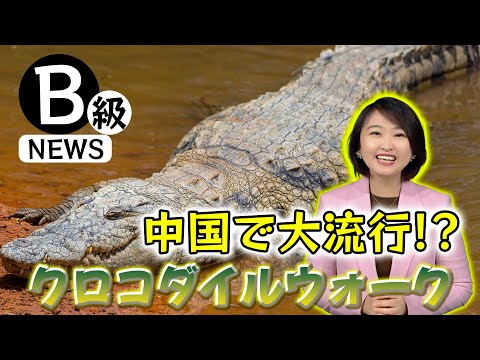 【中国B級ニュース】流行りの健康法「クロコダイルウォーク」とは！