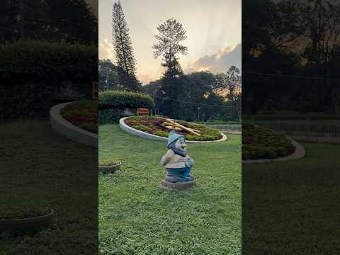 The floral clock in the historic 240-acre Lalbagh Botanical Garden in Bengaluru, India.