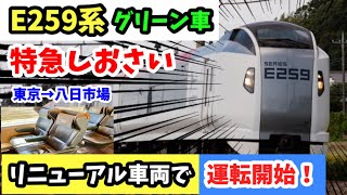 【リニューアル】E259系で運転の特急しおさい号グリーン車に乗った！