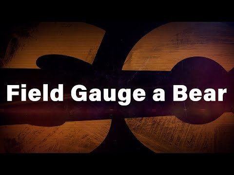 How to field gauge a mature black bear