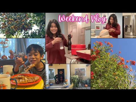 Weekend Vlog | Living in Los Angeles