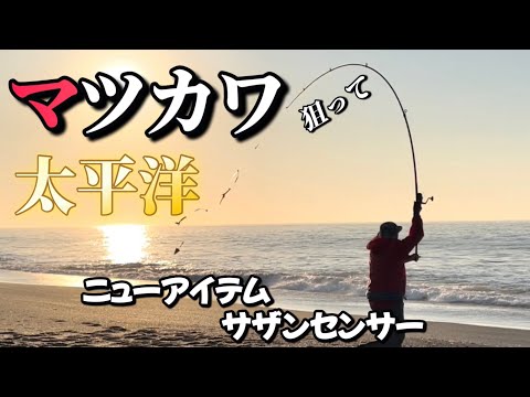 【北海道】【釣り】マツカワ狙って太平洋！ニューアイテムサザンセンサーの性能を見せてもらおうか！