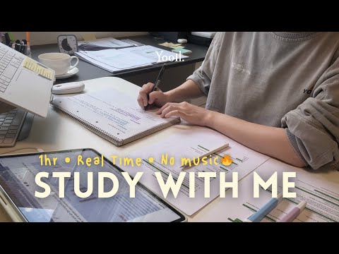 1Day before Exam🔥| 1 HOUR STUDY WITH ME: real time, no music, fire crackling, study ASMR