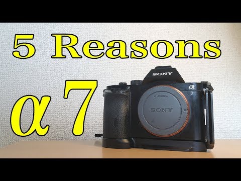 5 Reasons to buy SONY α7 in 2019.