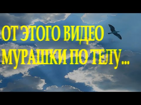 Стих заставляет задуматься "На небесах живут родные души..." Людмила Аббасова Читает Леонид Юдин