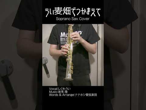 【しぐれうい】うい麦畑でつかまえて【Soprano Sax cover】