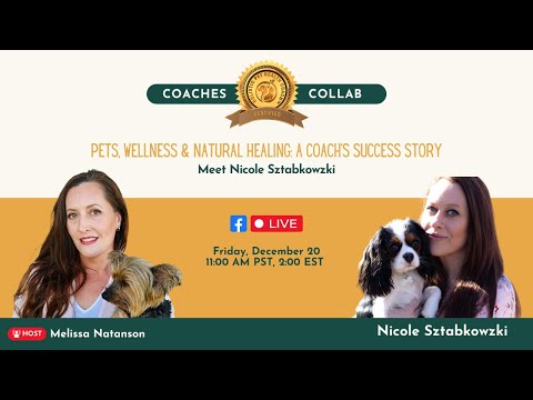 Pets, Wellness, & Natural Healing: A Coach's Success Story