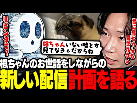 【モンハン】楓ちゃんをお世話しながらのリビング配信計画を語るドンさん【三人称/ドンピシャ/標準/モンハンライズ/切り抜き】