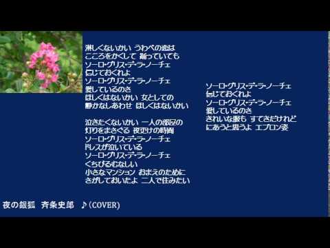 夜の銀狐　２　斉条史朗　♪（COVER)