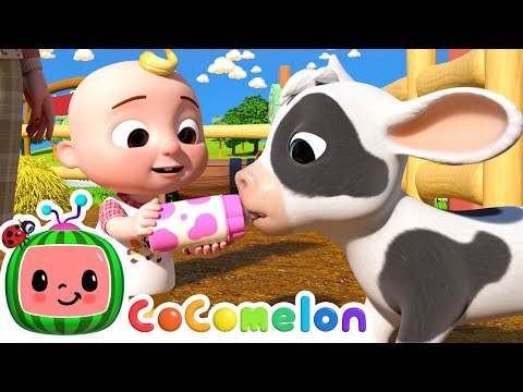 Baby Animals on Ol' MacDonald's Farm ! | CoComelon Nursery Rhymes