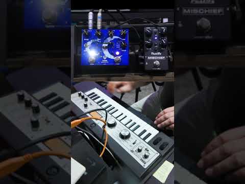 Microkorg XL with Walrus Sloer & PastFx Mischief 3