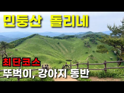 ⛰️더 늦기전에 지금 가야하는 민둥산 ⛰️ 초보자 등산코스 추천ㅣ강아지 동반ㅣ서울에서 가는 법ㅣ 뚜벅이 여행