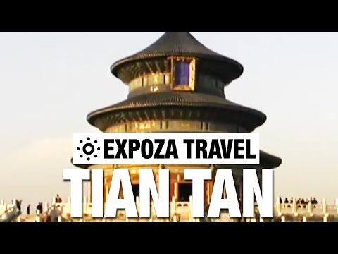 Tian Tan (Hongkong) Vacation Travel Video Guide