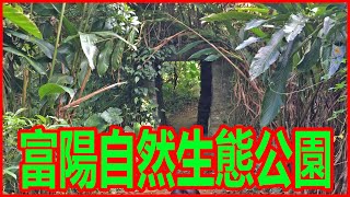 《富陽自然生態公園》Linguang Station Natural ecological park 原始山林 適合一家大小的登山步道 捷運麟光站