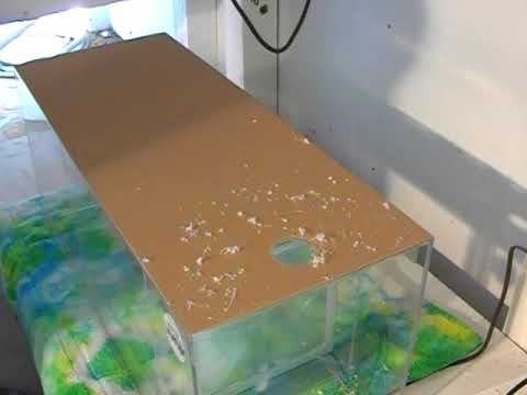 Jellyfish Breeding System, LA Fishguys, Episode 39, Part 2