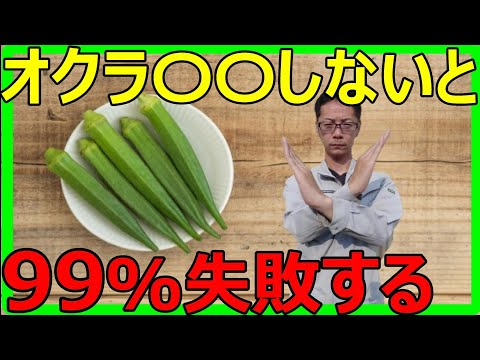 【カンタン!誰でも出来る！】オクラの育て方と種まき方法