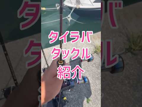 【最新・最高峰】タイラバタックル紹介✨