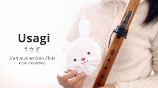 Usagi / Native American Style Flute / Japanese Folk Song