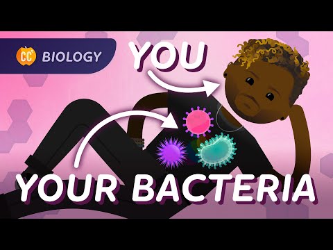 Bacterial DNA & Genetics: Crash Course Biology #38