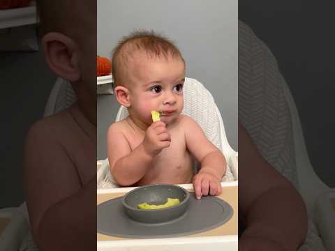 Anyone else love watching them eat?🥰 #babyledweaning #solidstarts