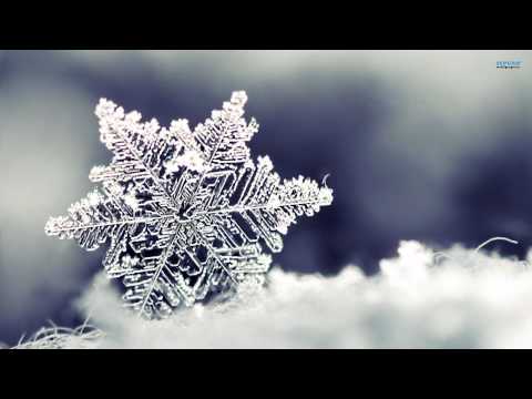 Ron Sexsmith - Maybe This Christmas [HD]