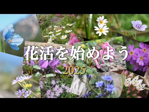 2025年 花活を始めよう【序曲】