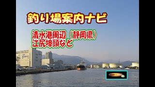 静岡県の清水港周辺の案内です。江尻埠頭から清水港