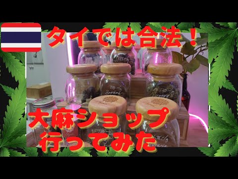 【タイで大麻解禁】バンコクの大麻ショップに行ってみた！