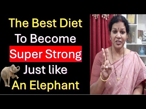 The Best Protein Diet To Come Super Strong Just Like An Elephant