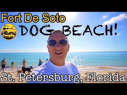 Desoto Dog Beach & Campground at St. Petersburg Florida