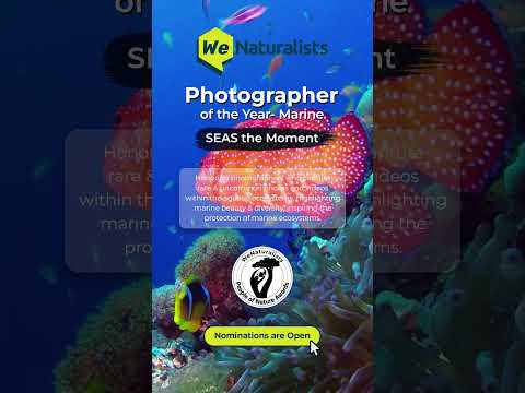 Photographer of the Year - Marine WeNaturalists Awards 2023