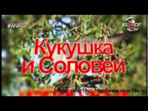 Кукушка и Соловей