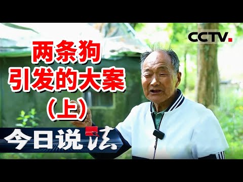 《今日说法》两条狗被人射杀 犯罪嫌疑人竟是一个“网红”！20250102 | CCTV今日说法官方频道