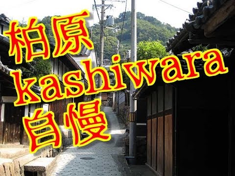 柏原市　Kashiwara c　河内　大阪　古墳　自慢