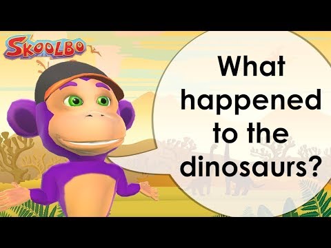 Curiosity - What happened to the dinosaurs?