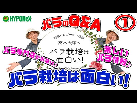 大好評♪【バラのQ&A】バラのお悩み解決ｯ!🌹バラ栽培の疑問!?にお答えします!①🌹バラ専門店店長・高木大輔さん