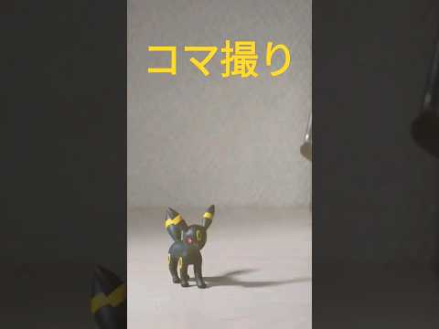 ポケモンおもちゃ　ブラッキー Umbreon　モンコレ開封　コマ撮りアニメ　フィギュア　ストップアニメ　 #pokemon #ポケモン #フィギュア