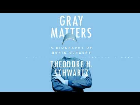 GRAY MATTERS by Theodore H. Schwartz | Audiobook Excerpt