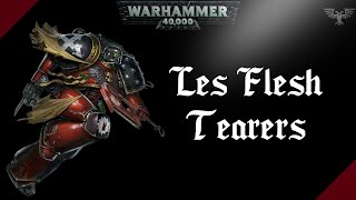 WARHAMMER 40K | Les Flesh Tearers