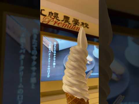 【北海道　観光】新千歳空港は映画館や温泉施設　ラーメン　ソフトクリーム　楽しいスポット　デートにもおすすめ