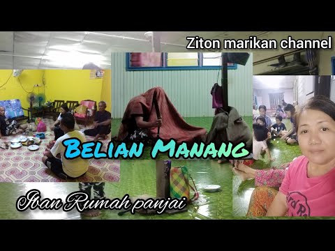 Belian Manang.. pengawa jarang di peda..‼️