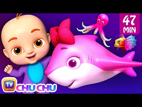 Baby shark doo doo doo doo + More 3D Nursery Rhymes & Kids Songs by ChuChu TV