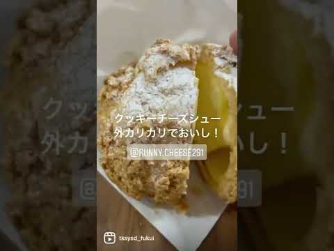 【福井グルメ】ラニーチーズさん（福井市）でいろんなチーズケーキ爆買してきました【食レポ動画】#shorts