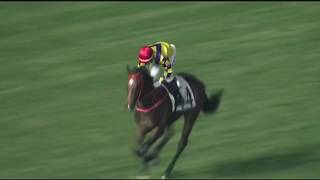 2018/19 (379) - Champions's Way (勝得精彩) - 莫雷拉 (初出閘前重飛大熱取勝)