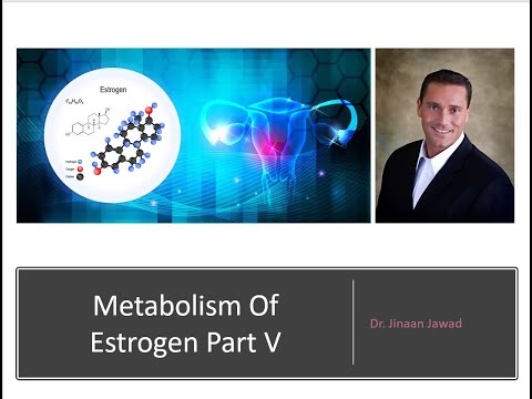 Metabolism of Estrogen Part V: Phase III -Inside The GI Tract