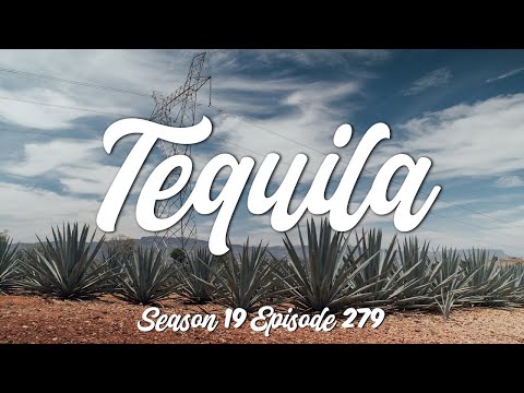 Tequila Tour: A Perfect Day Trip with Casa Sauza