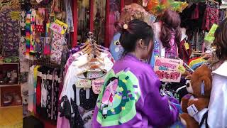 Where to Visit in HARAJUKU  : Takeshita Street - Owls Cats and Fashion.