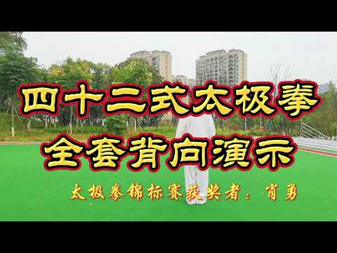 42式太极拳高水平全套展示，背向演练，初学者跟练的好教材