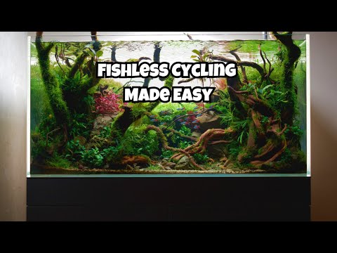 Fishless Cycling Made Easy: The Ultimate Hassle Free Guide